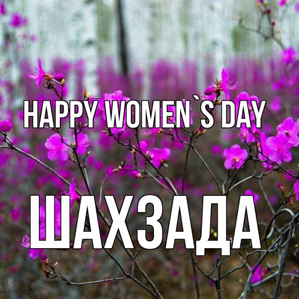 Greetings card с именем, ШАХЗАДА happy women`s day дикие цветы Greetings with text for free download 